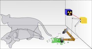 El experimento del gato de Schrödinger