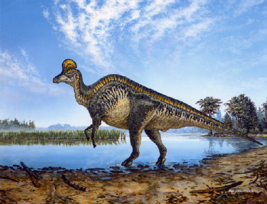 Reconstrucción de un Corythosaurus. Cortesia de Michael Skrepnick.
